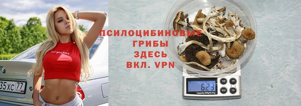 сатива Анжеро-Судженск