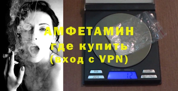 сатива Анжеро-Судженск