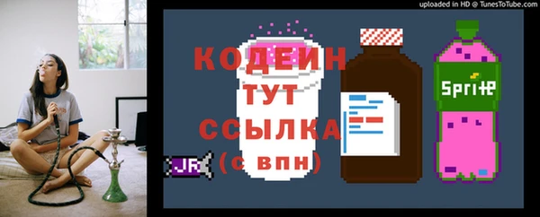 амф Пестово