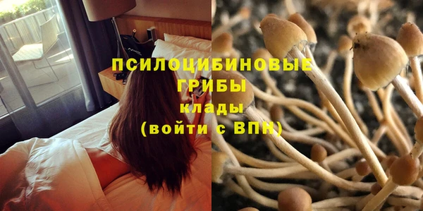 а пвп мука Армянск